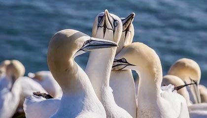 爱游戏体育-中国男子篮球联赛赛场上演惊天逆转，中国男子篮球比赛