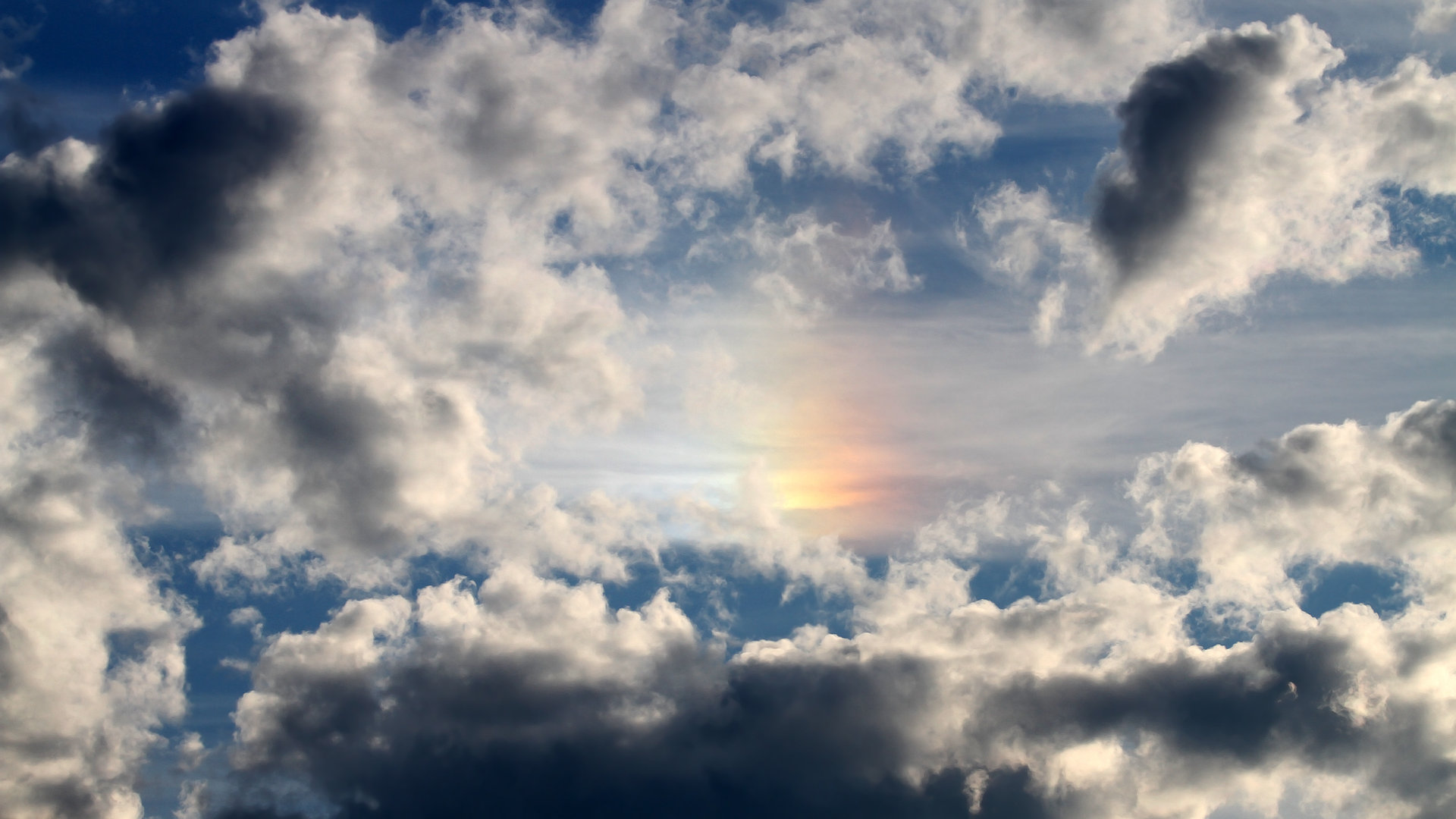 新星崛起：未来联盟之星的起步与突破，未来之星际联盟 小说