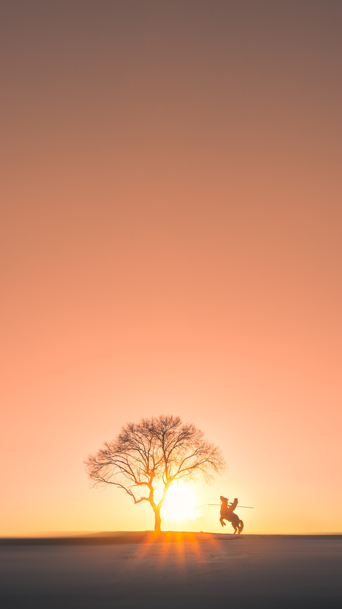 王者荣耀 赛事运营升级助力发展,王者荣耀赛事战令