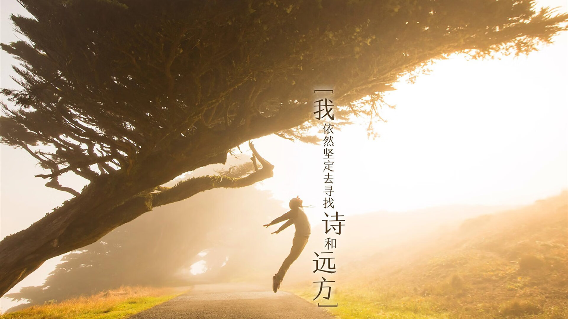 篮球场馆多功能利用率显著提升,篮球场场馆