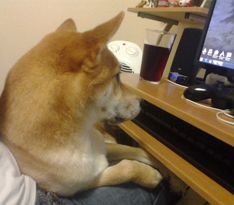 AYX体育-CBA球员技艺精湛，赛场上的精彩瞬间感动全场，cba里