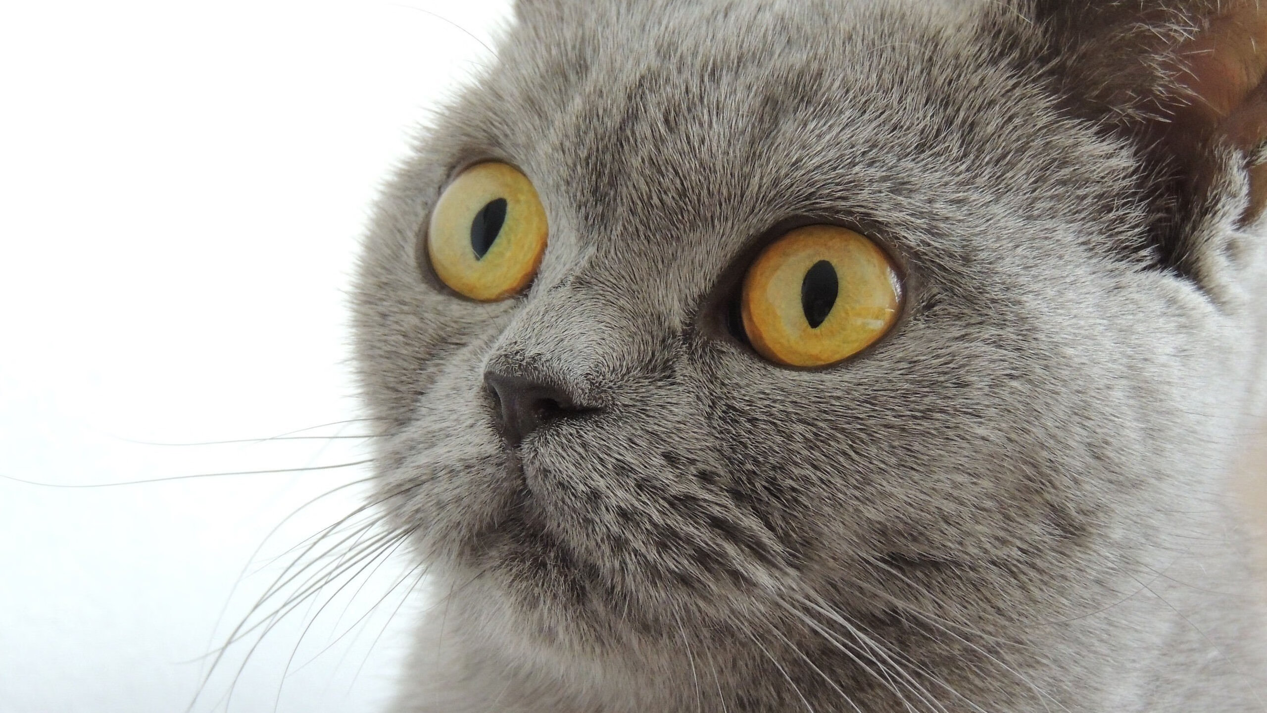 AIYOUXI.COM-克罗地亚击败保加利亚，欧洲国家联赛取得突破，克罗地亚对