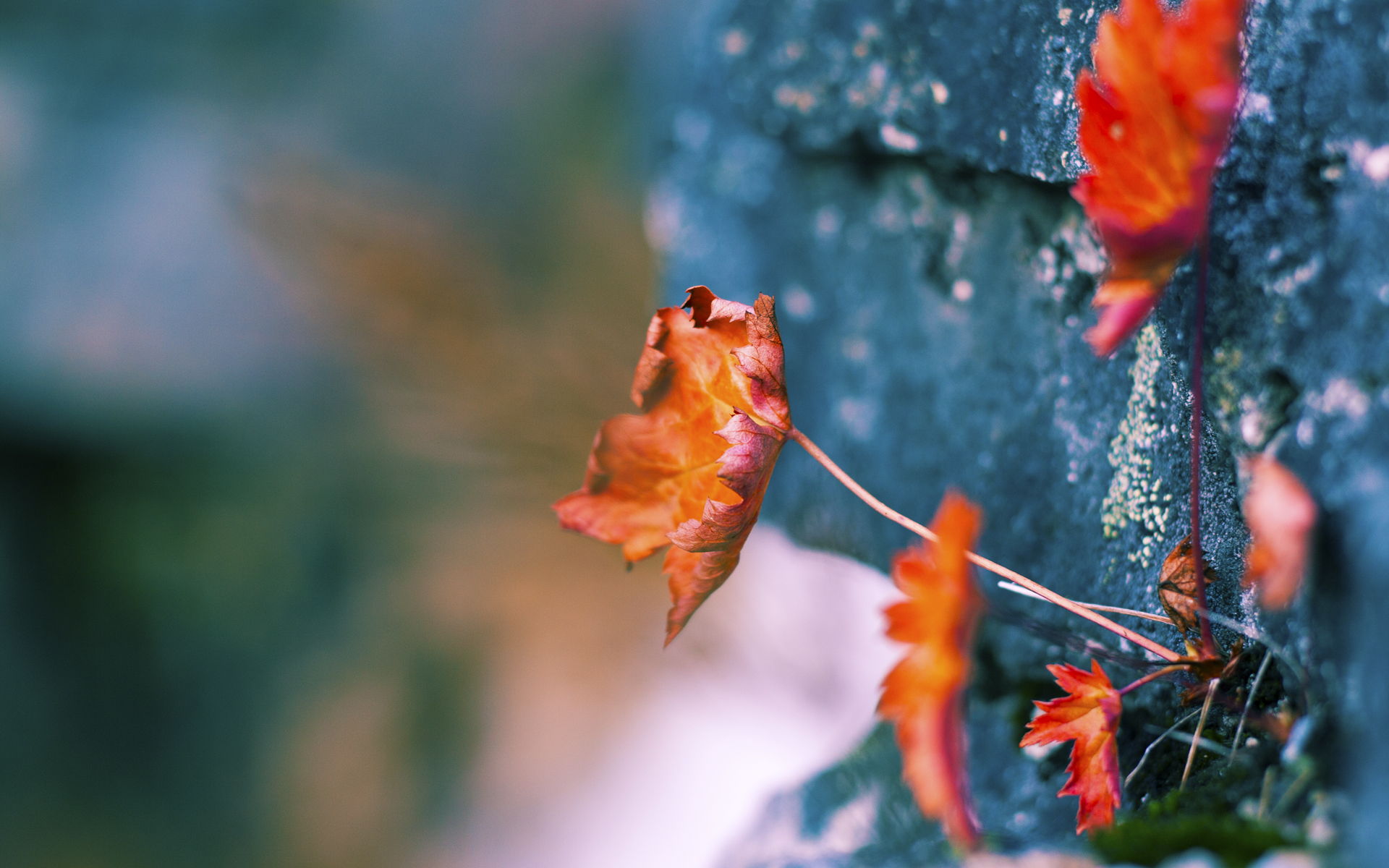 爱游戏电竞官网-四国冰球对抗赛在波士顿和蒙特利尔成功举办，国际冰球