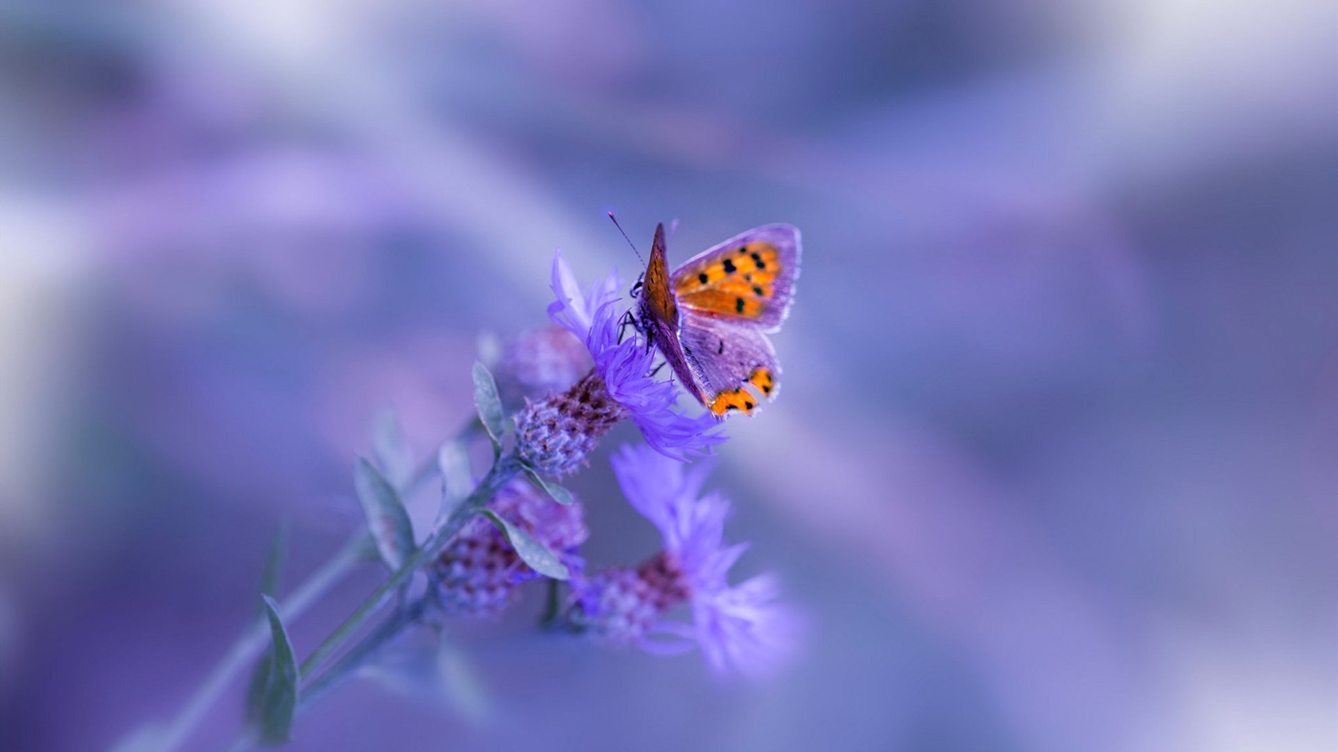 壯觀觀眾席，場外氛圍熱烈，賽事高潮迭起，形容观赛现场观众的词语