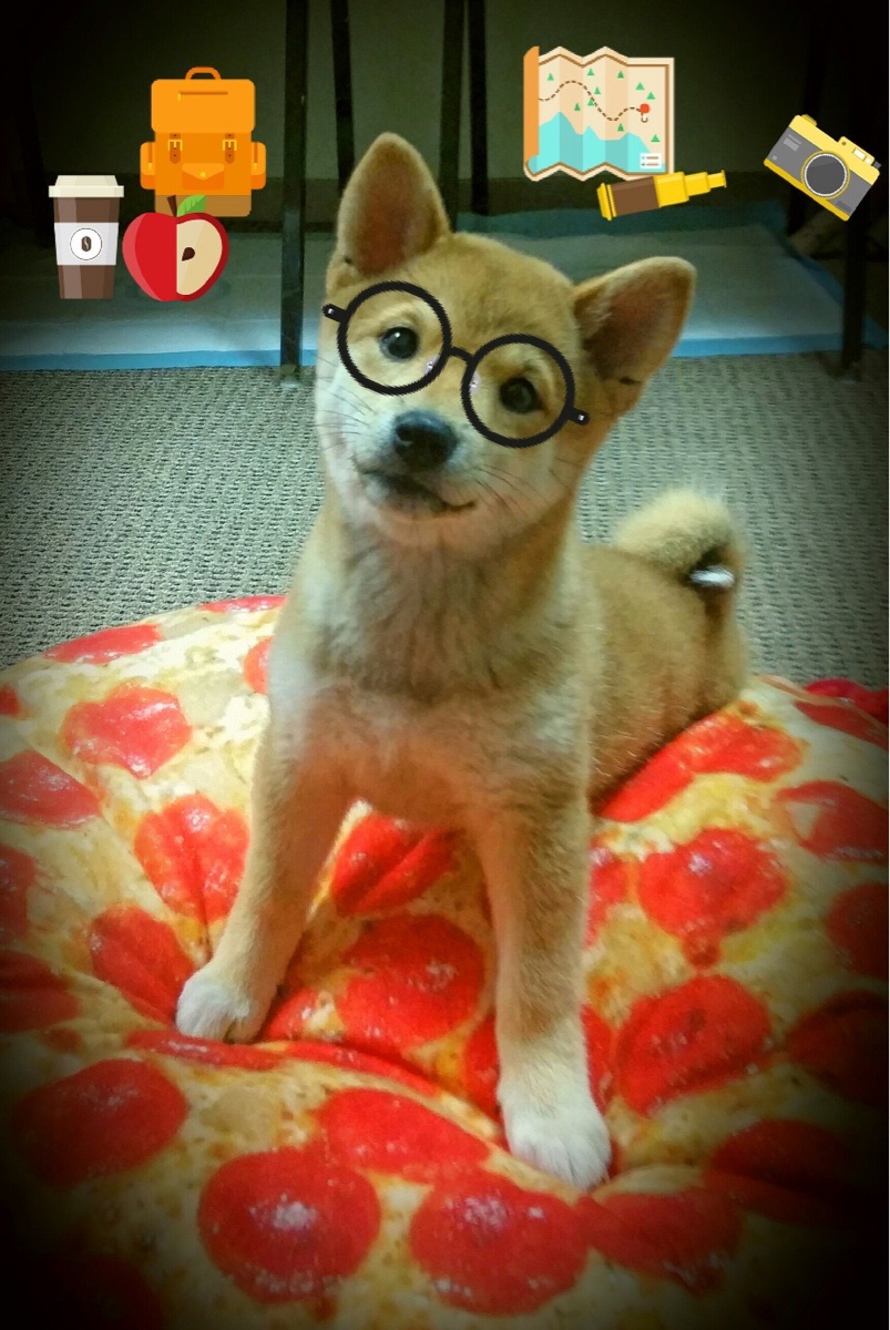 爱游戏 电竞-壯觀觀眾席，場外氛圍熱烈，賽事高潮迭起，现场观众