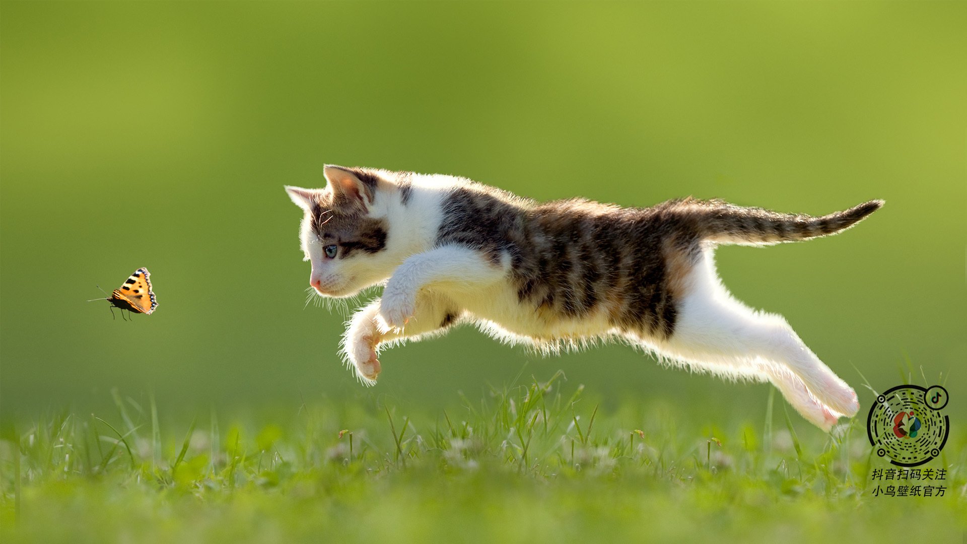 爱游戏app下载-备战即将开启，女足比赛球队训练出色，女足队伍