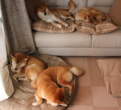 爱游戏在线娱乐官网-广东宏远替补席深度提升，广东宏远上调多名新人