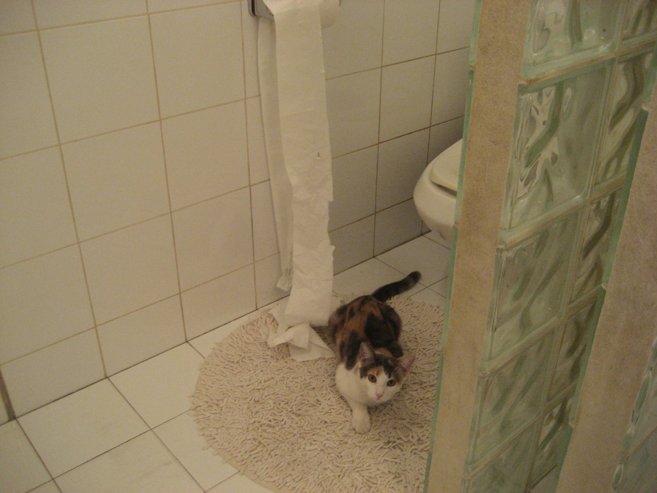 爱游戏app-球队日常训练是否应直播化，球队的训练计划包括哪些