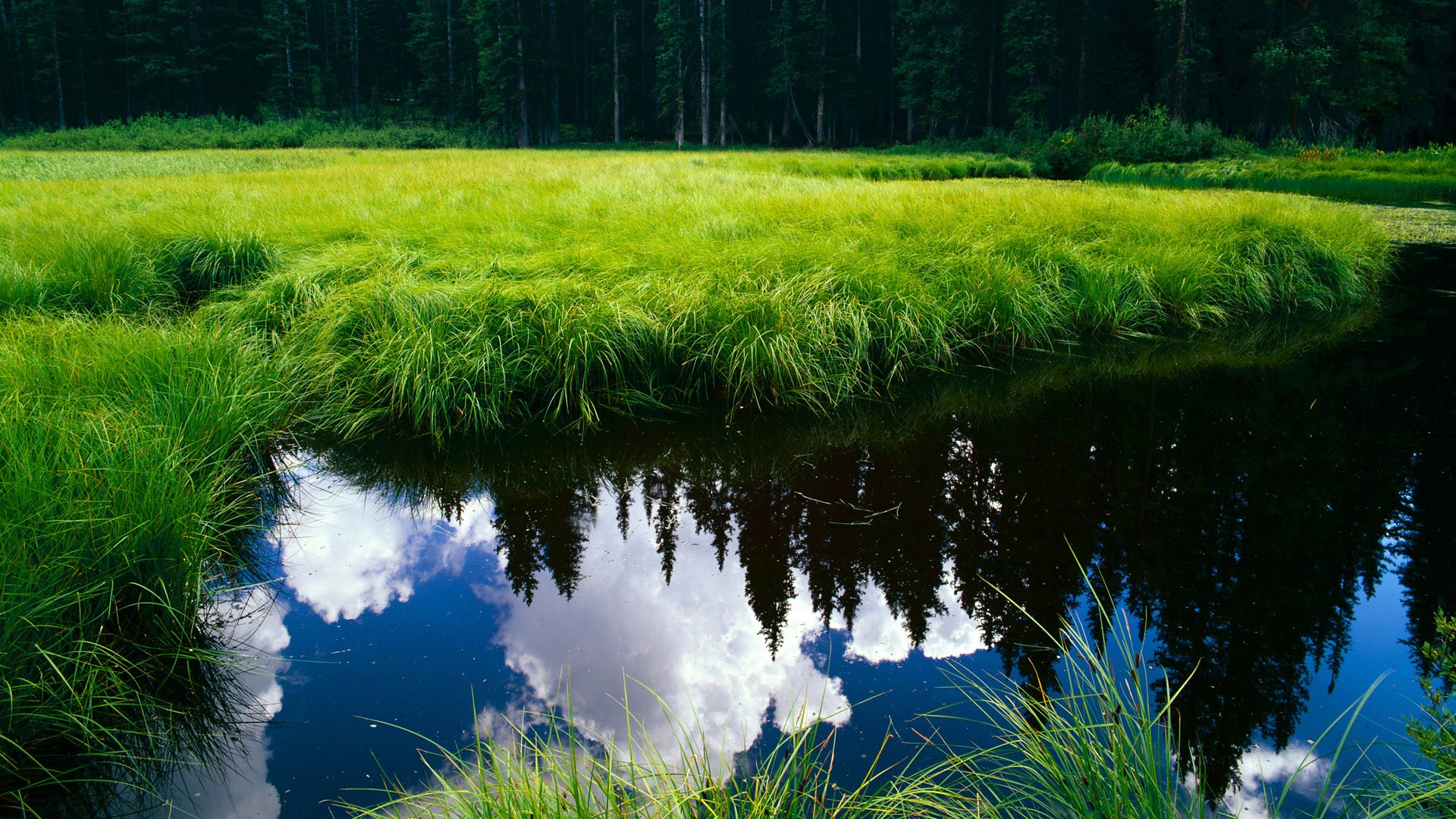 皇马点球大战淘汰曼城,晋级欧冠四强,皇马 点球