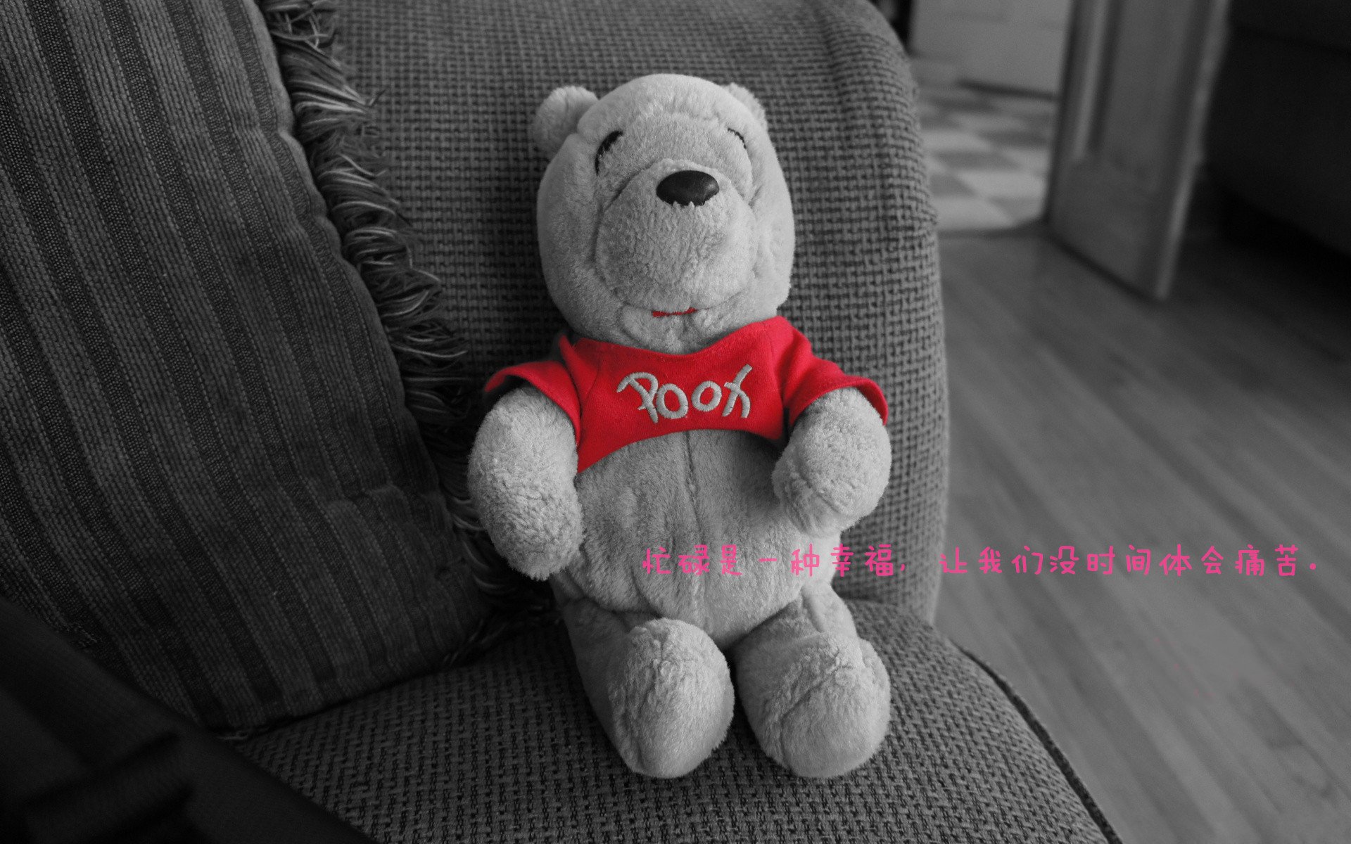 爱游戏体育（AYX）官方APP下载-萨索洛主场击败劲敌，继续保持不败纪录，萨索洛主帅