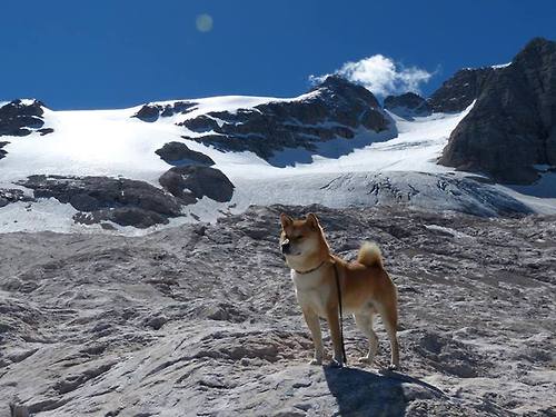 雷恩是否具备后程发力的战术储备，雷恩是谁