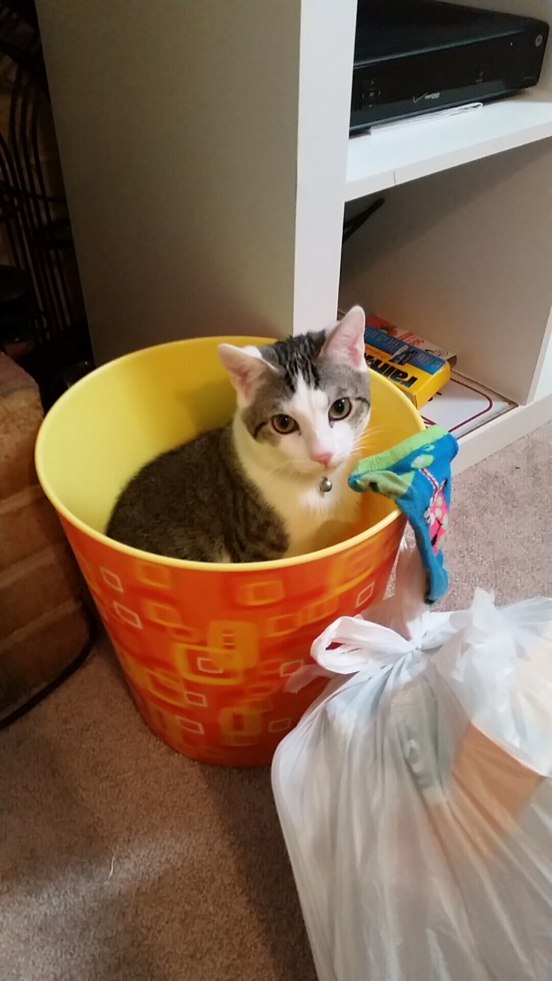 AYX体育官网-霍芬海姆球队在比赛中展现出色的进攻体系，取得胜利，霍芬海姆球衣是哪个运动品牌