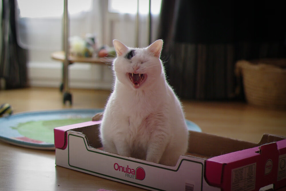 AYXSPORTSAPP-中国女篮控球稳定性持续提升，中国篮球女篮