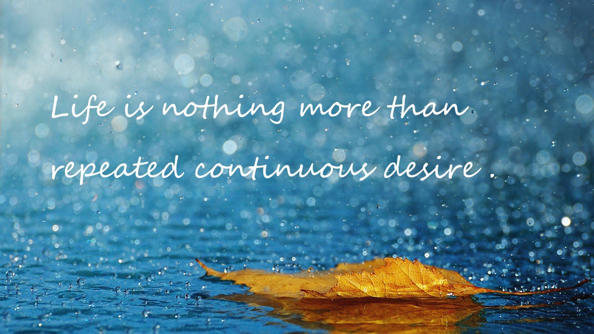 瑞典队未来发展:通过技术创新与全球合作开创新局面,瑞典队近况